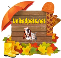 an autumn greeting